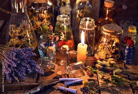 The Hidden Garden: Unraveling the Occult Herbalist's Barium and its Mysterious Powers.